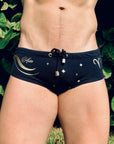Brief Aries