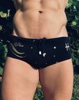 Brief Pisces