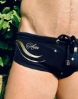 Brief Aries