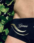 Brief Gemini
