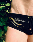 Brief Sagittarius