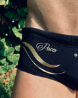 Brief Pisces