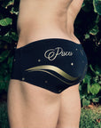 Brief Pisces