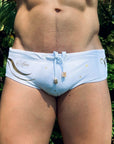 Brief Aries