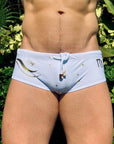 Brief Virgo