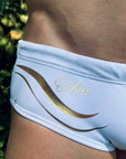 Brief Aries