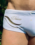 Brief Taurus