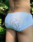Brief Gemini