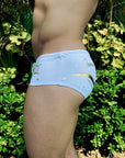 Brief Gemini