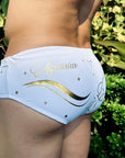 Brief Aquarius