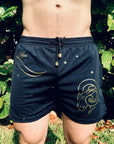 Short Aries