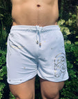 Short Aries