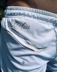 Short Aries