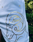 Short Aries
