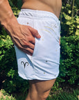 Short Aries