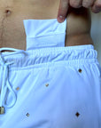 Short Aries
