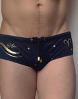 Brief Aries